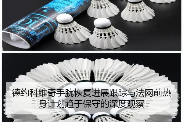 德约科维奇手腕恢复进展跟踪与法网前热身计划趋于保守的深度观察